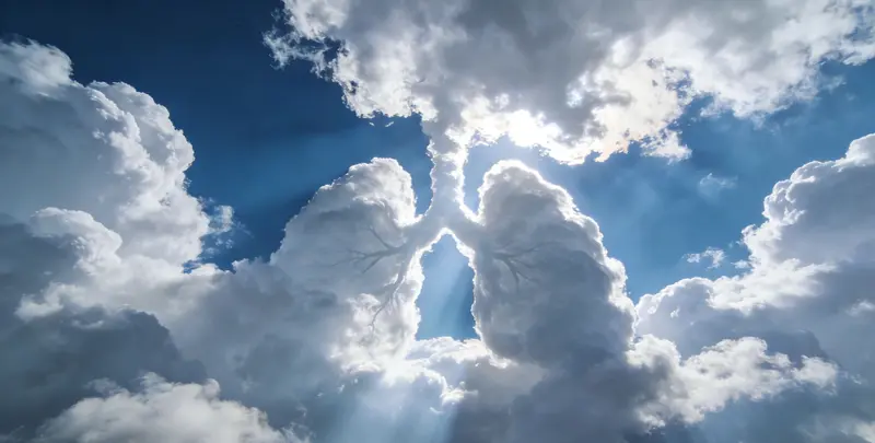 菏泽肺癌靶向120基因检测（组织）图片1