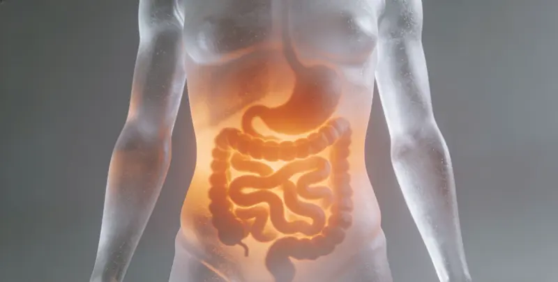 菏泽胃癌分子分型基因检测项目（组织）图片1